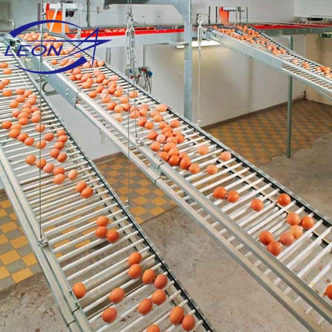 Full Automatic H Type Layer Cage System