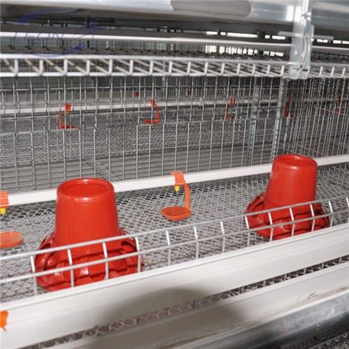 Multi-level H Type Broiler House System Multi-level H Type Broiler House System