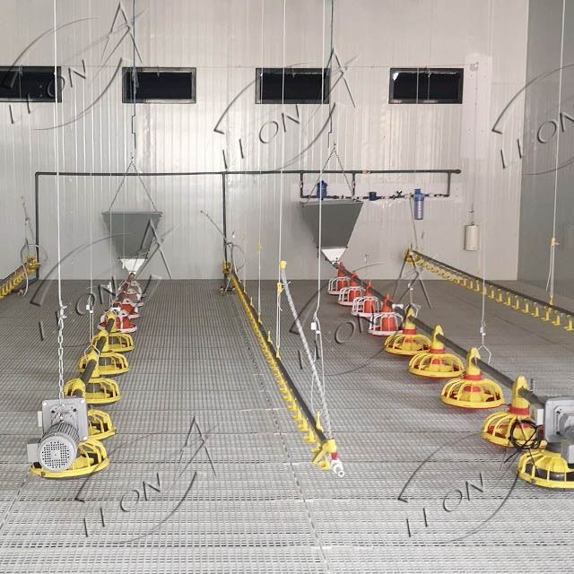 Complete Automatic Poultry Equipment