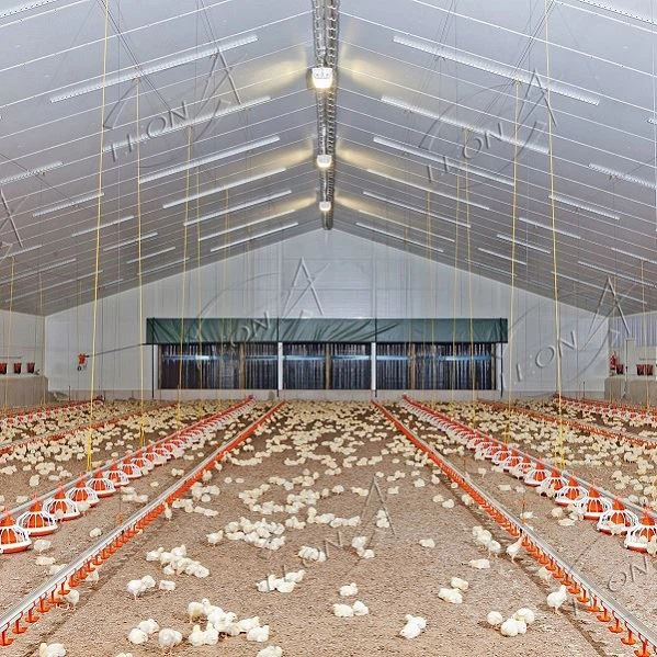 Poultry Equipment Price Broiler House System Poultry Farming